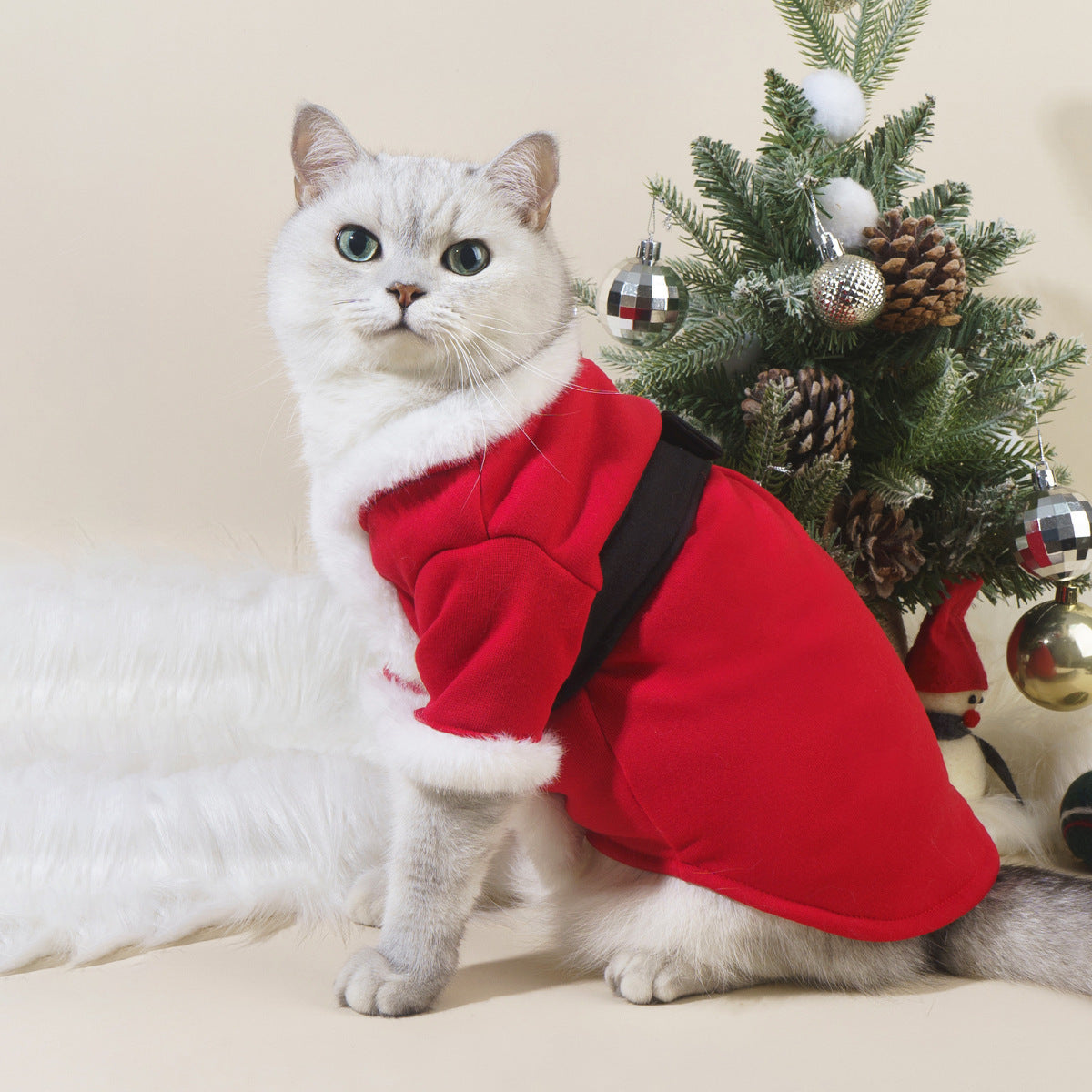 Christmas Dress for Cats and Dogs - Make Your Furry Friend a Little Santa This Winter!