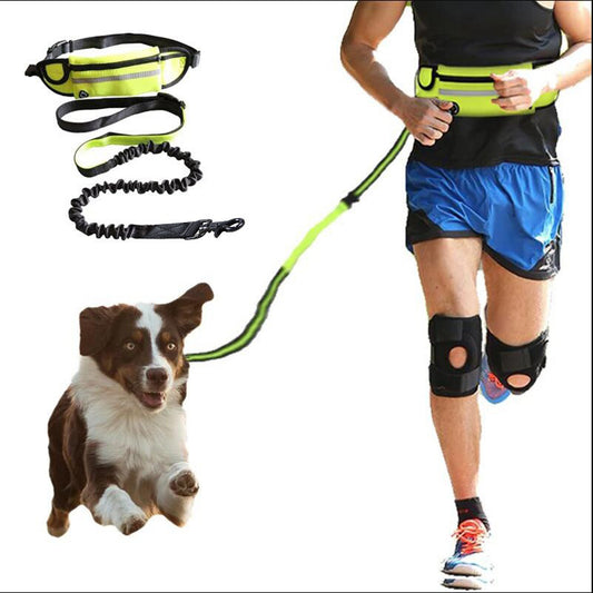 Waist Bag Dog Leash - Hands-Free Pet Walking & Jogging