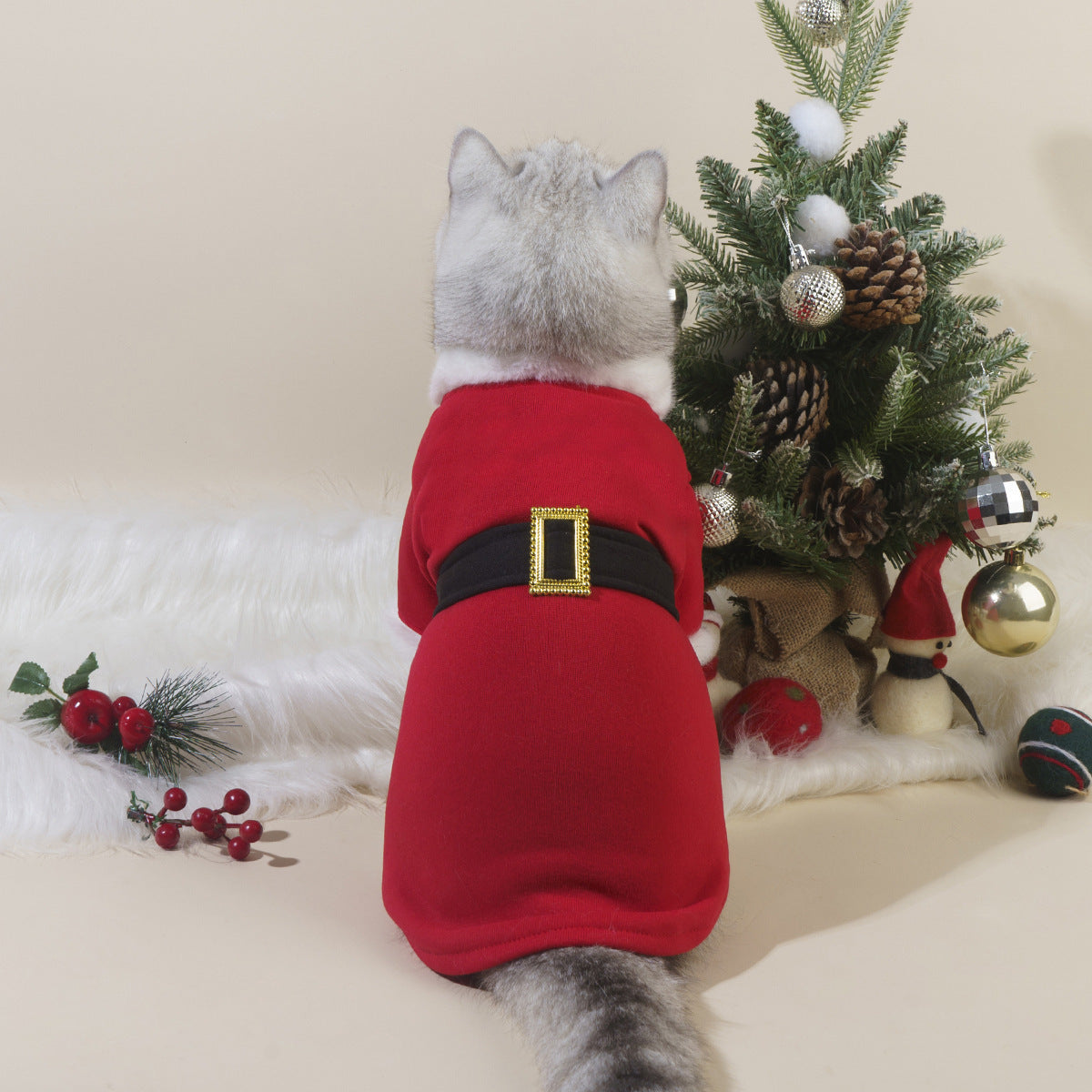 Christmas Dress for Cats and Dogs - Make Your Furry Friend a Little Santa This Winter!