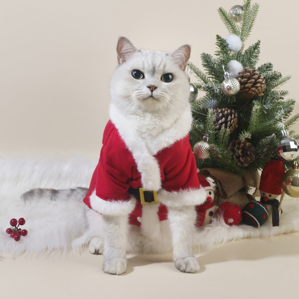 Christmas Dress for Cats and Dogs - Make Your Furry Friend a Little Santa This Winter!